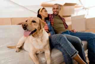 Plan A Move With Pets1