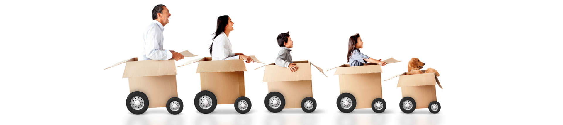 Palm City Top Rated Moving Company preview